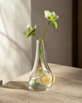 Stoneveil No. 005 clear glass and ivory stone bud vase styled with green hellebores
