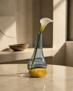 Stoneveil No. 003 smoke-blue glass vase styled with a single white calla lily