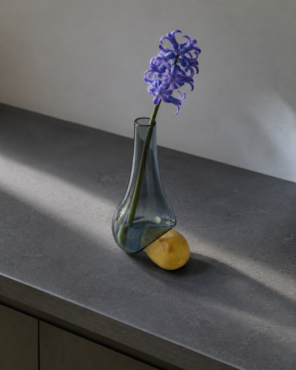 High-angle view of Stoneveil No. 007 styled with blue hyacinth on a matte slate shelf