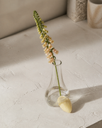 High-angle view of Stoneveil No. 005 styled with peach foxglove on a plaster workbench
