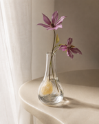 Stoneveil No. 005 clear glass vase styled with mauve clematis on a curved side table